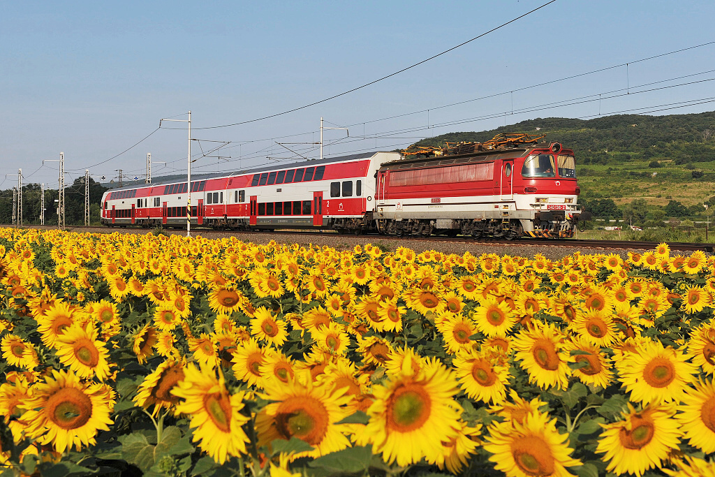 240.136 Pezinok zastvka (8.7. 2013) - na Os 3019 z Bratislavy do Leopoldova jako nhrada za lokomotivu 263 (381)
