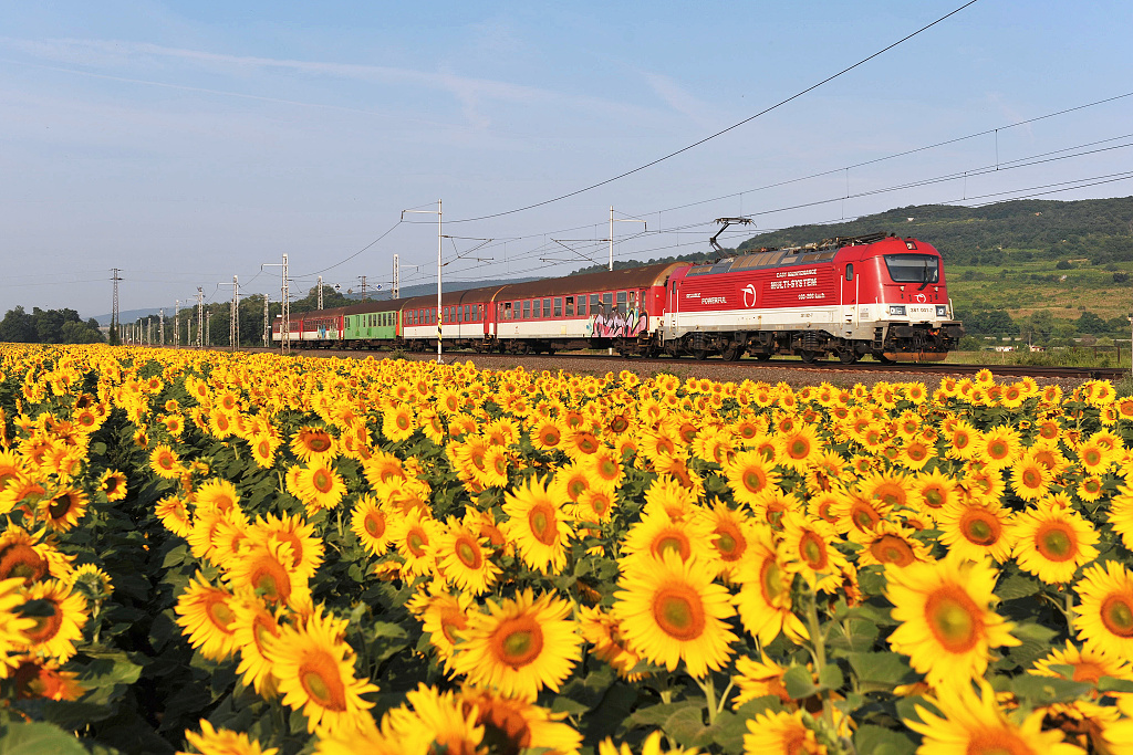 381.001 Pezinok zastvka (7.7. 2013) - Os 3019 z Bratislavy do Leopoldova na (pro tyto lokomotivy) netradinm vkonu