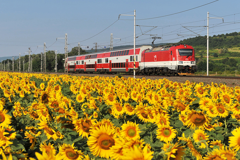 381.002 Pezinok (8.7. 2013) - Os 2011 ze stanice Kty pes Bratislavu do Leopoldova