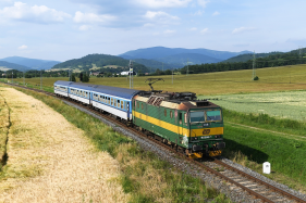 163.098 Petrov nad Desnou - Vikovice-Lesn (18.6. 2019)