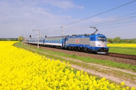 380.018 Oponek (3.5. 2015)