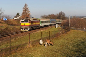 754.078 erven Kostelec - Olenice (14.11. 2010)